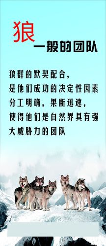 65双螺6686体育杆怎么调间隙(双螺杆泵间隙调整)